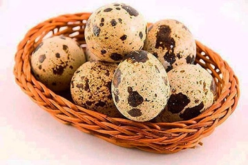 7 Aylık Bebek Bıldırcın Yumurtası Yermi